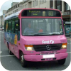 Tamar Link liveried buses
